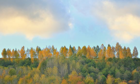 mountain autumn landscape with colorful forest