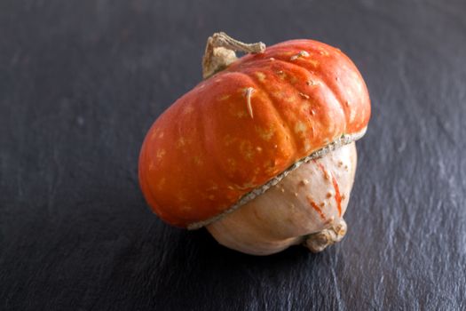 Turk's turban squash on a stone plate