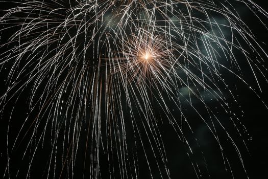 Colorful fireworks explosion in a dark night