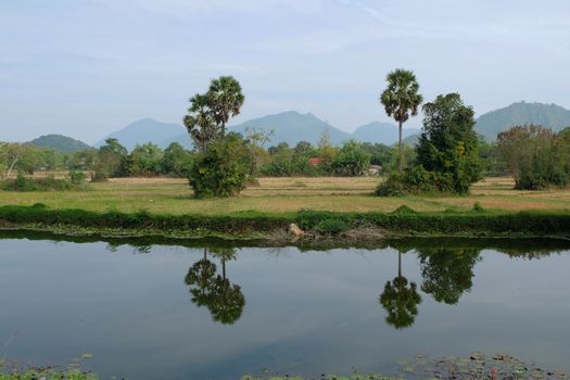 field vintage landscape in thailand