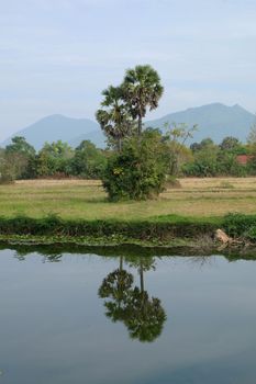 field vintage landscape in thailand