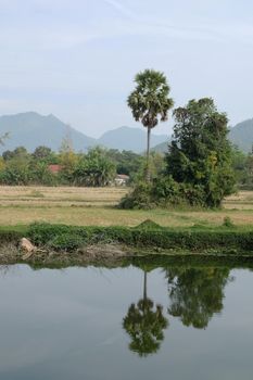 field vintage landscape in thailand