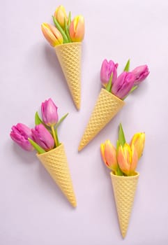 Concept with tulips in wafer ice cream cone