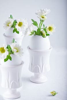 Bunch of white chrysanthemum flowers growing from egg shell.