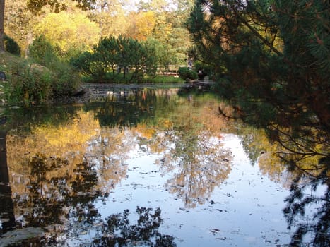 Japanese garden in beautiful autumn colors