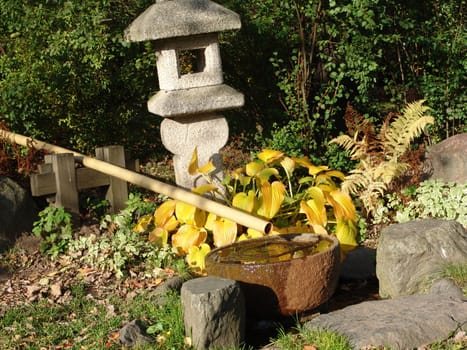 Japanese Garden