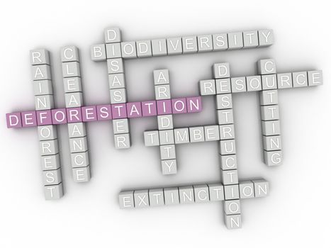 3d Deforestation word cloud concept