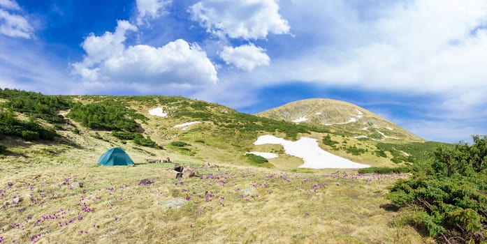 Tourist tent on the mountain slope among purple crocuses vernus on a background of a mountain range and the sky with clouds spring
