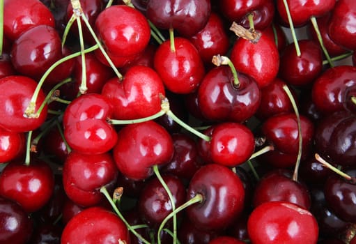 cherry background