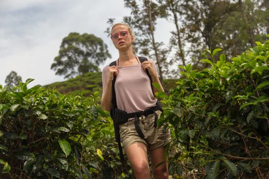 Active caucasian blonde woman enjoing fresh air and pristine nature while tracking among tea plantaitons near Ella, Sri Lanka. Bacpecking outdoors tourist adventure.