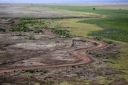Road in the African savannah. Amboseli national park in Kenia