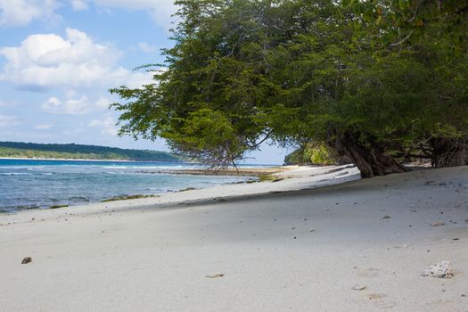 clear blue water surronds the south pacific island of East-Timor, also known as Timor-Leste