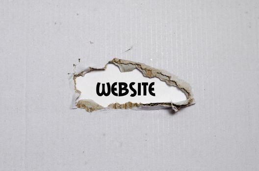 The word website appearing behind torn paper