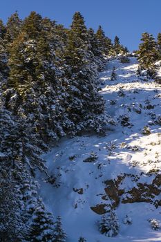 Ziria mountain covered with snow on a winter day, Korinthia, South Peloponnese, Greece. Ziria is one of the snowiest mountains in Peloponnese (2,374m).