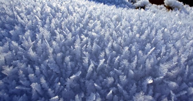snow crystals close up against the sun