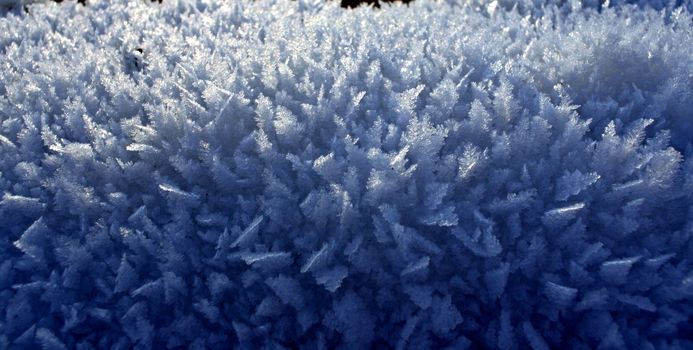 snow crystals close up against the sun