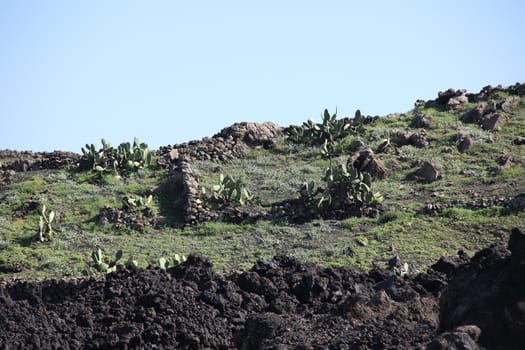 Landscape Lanzarote