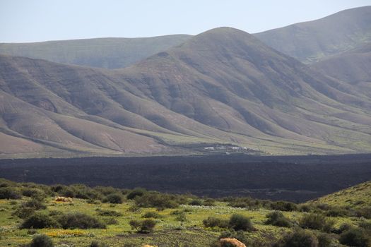 Landscape Lanzarote