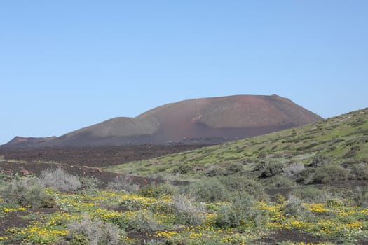 Landscape Lanzarote