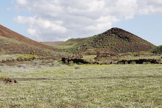 Landscape Lanzarote