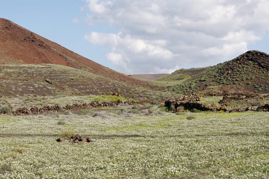 Landscape Lanzarote