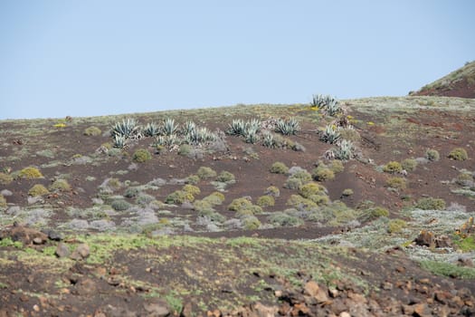 Landscape Lanzarote