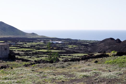 Landscape Lanzarote