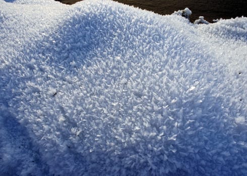snow crystals closeup against the morning sun