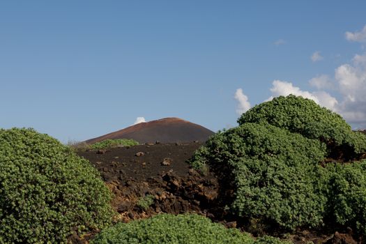 Landscape Lanzarote