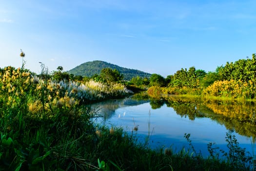 canal surrounded by reeds and trees mountain