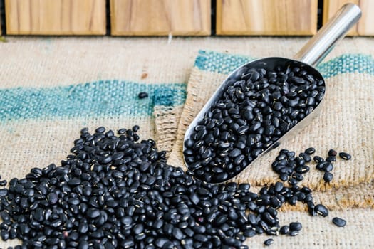 black beans seeds in steel spon on sack wood backgrond