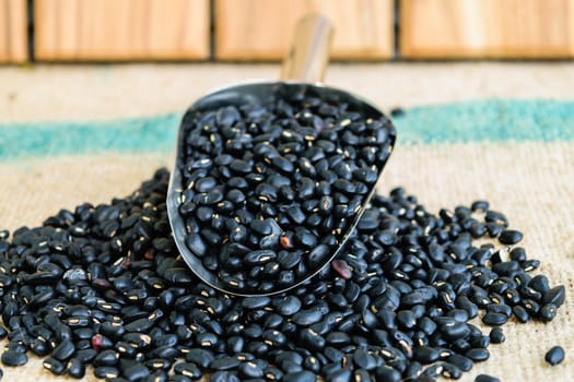 black beans seeds in steel spon on sack backgrond
