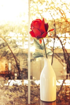 Red roses flower in glass vase with natural light in valentine day