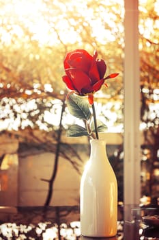 Red roses flower in glass vase with natural light in valentine day