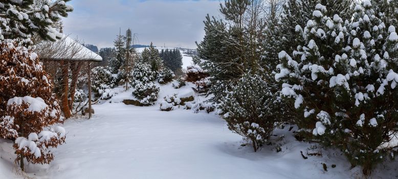 Beautiful evergreen winter garden with conifers covered by fresh snow