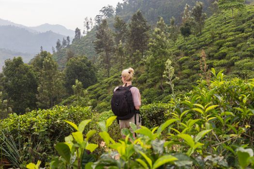 Active caucasian blonde woman enjoing fresh air and pristine nature while tracking among tea plantaitons near Ella, Sri Lanka. Bacpecking outdoors tourist adventure.