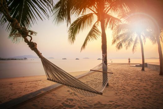  beach cradle on coconut tree against beautiful sun set sky summer vacation theme