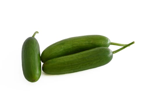 fresh healthy silor salad on white and copy space stock photography