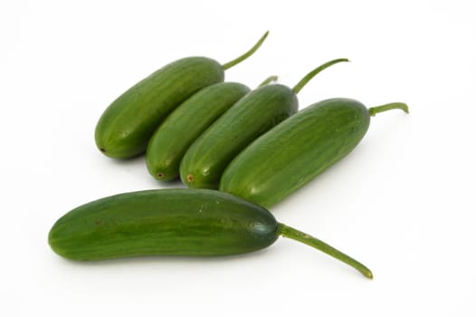 fresh healthy silor salad on white and copy space stock photography