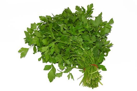 Pictures of a bond parsley