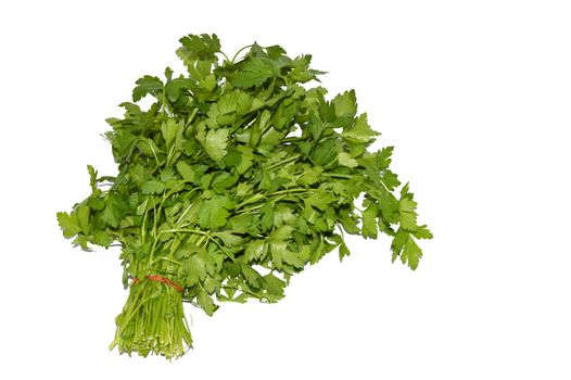 Pictures of a bond parsley