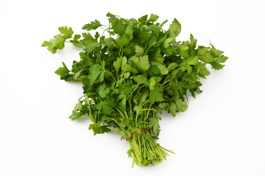 Pictures of a bond parsley