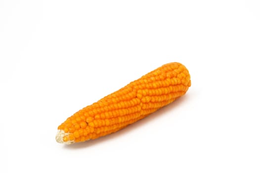 Dry corn pictures