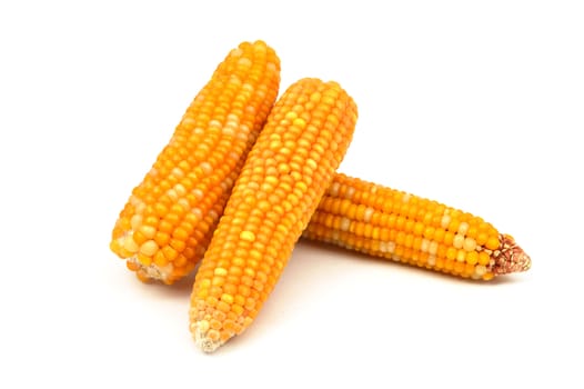 Dry corn pictures