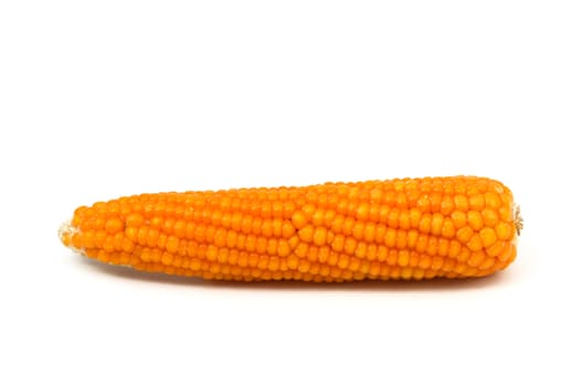 Dry corn pictures