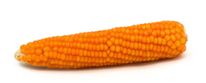 Dry corn pictures