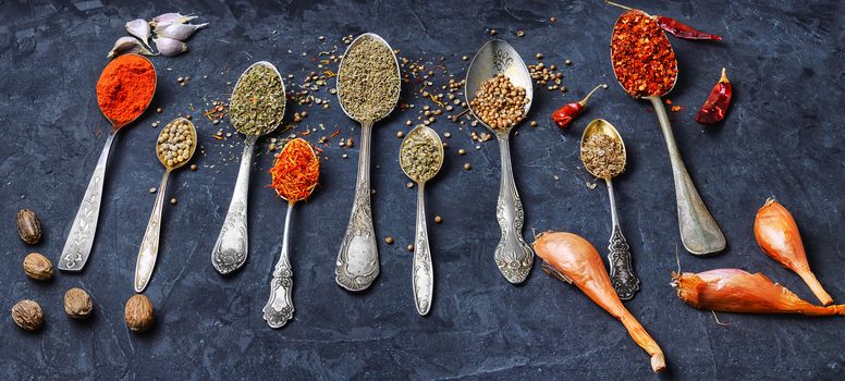 large set spicy spices in spoons on dark slate background