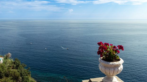 Geranium and view of deep blue sea.