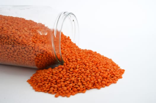 Pictures of red lentils on the most beautiful and best white background