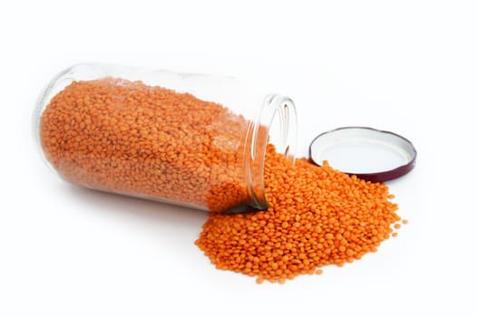 Pictures of red lentils on the most beautiful and best white background